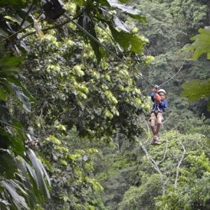 Canopy Tour