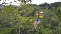 Canopy Tour