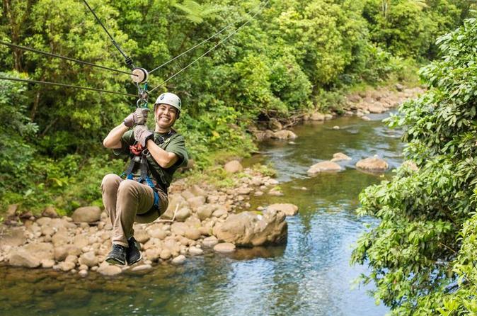Canopy y Tirolesa Tour Plus