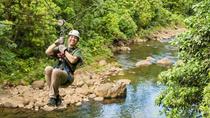 Canopy y Tirolesa Tour Plus