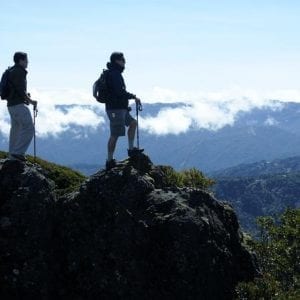 Cerro Buena Vista Guided Hiking and Cloud Forest Wildlife Watching Tour at Tal