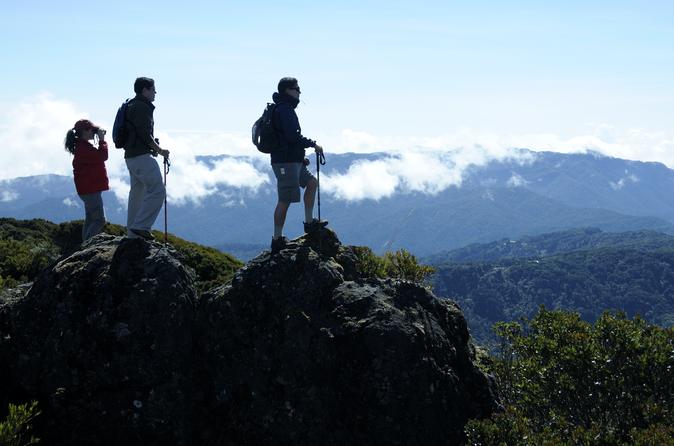 Cerro Buena Vista Guided Hiking and Cloud Forest Wildlife Watching Tour at Tal
