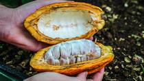 Coffee And Chocolate Private Tour