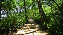 Combo 8 In 1: Caribbean Nature Highlights