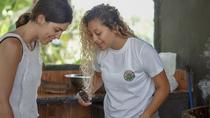Craft Costarican Coffee Experience