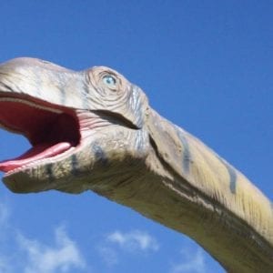 Dino Park And Blue River Resort Adventure In Rincón De La Vieja Playa Del Coco
