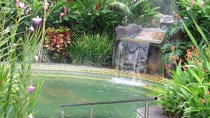 Dino Park And Blue River Resort Adventure In Rincón De La Vieja Playa Del Coco