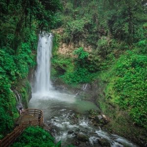 Doka Estate and La Paz Waterfalls Gardens San José