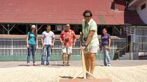 Doka Estate Coffee and Sugar Cane Tour with Butterfly Garden