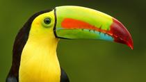 Exotic Landscapes of Costa Rica