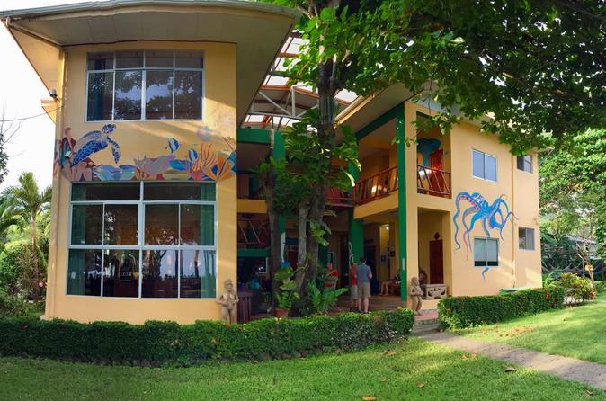 Five-Day Beachfront Spanish Immersion Group Classes in Sámara