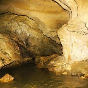Full Day Adventures Venado Caverns and Hot Springs in Arenal San José
