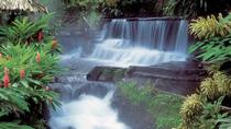 Full Day Adventures Venado Caverns and Hot Springs in Arenal San José