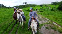 Full Day Borinquen Adventure Tour