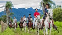 Full-Day Guided Turubari Adventure Park San José
