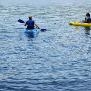 Full Day Kayaking and Animals, Birds Watching Tour at Arenal Lake San José