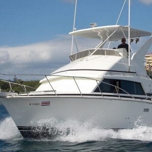 Full Day Sport Fishing Flamingo Beach