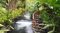 Full Day Zipline and Hot Spring Watch Wild Life at Arenal Volcano San José