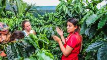 Half-Day Coffee And Chocolate Tour With Guide