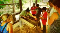 Half Day Nature Safari Float Tour And Chocolate La Fortuna-Arenal