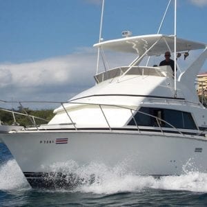 Half-Day Sport Fishing Flamingo Beach