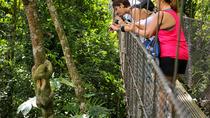 Hanging Bridges And Canyoning Combo