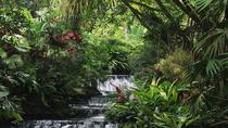 Hanging Bridges And Tabacon Hot Springs