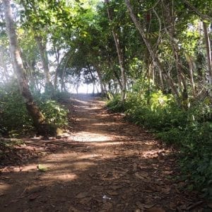 Hiking Gandoca - Manzanillo Puerto Viejo Of Limón