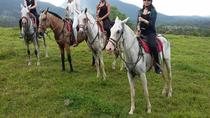 Horse Back Riding, Waterfall Hike And Rafting Class II & III La Fortuna-Arenal