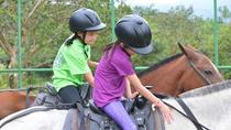 Horseback Riding At Arenal Wilberth Stable In Front Of Arenal Volcano National