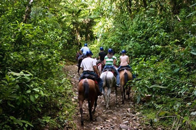 Horseback Riding in Tamarindo