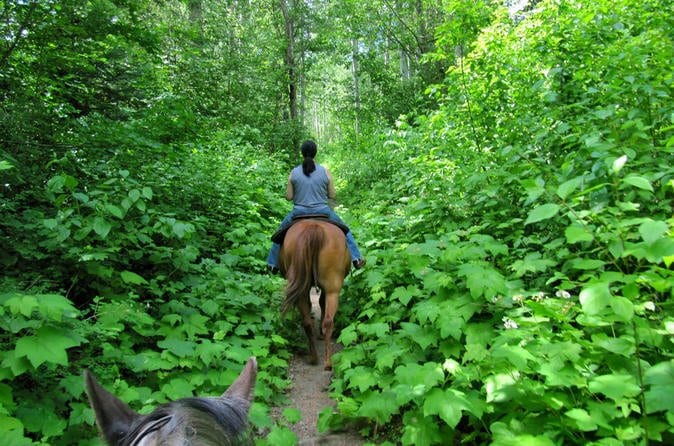Horseback Riding Ocean View And Waterfalls In Jacó Beach