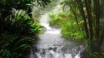 Horseback Riding Ocean View And Waterfalls In Jacó Beach