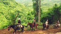 Horseback Riding Tour