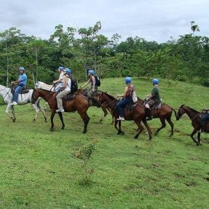 Horseback To La Fortuna Waterfall Arenal