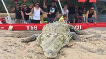 Jungle & Rivers ATV Exploration with Crocodile Safari Boat Tour