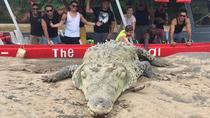 Jungle & Rivers BUGGY Exploration with Crocodile Safari Boat Tour