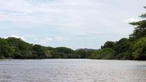 Jungle River Cruise At Palo Verde National Park