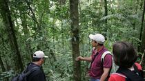 Jungle Trekking Tour Plus