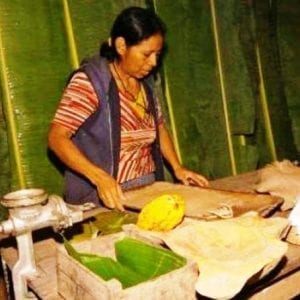 Kekoldi Half Day Puerto Viejo Of Limón
