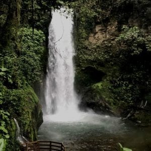 La Paz Waterfall Garden Tamarindo Guanacaste