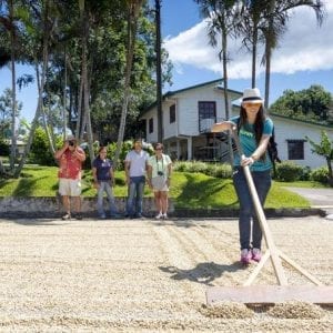 Made in San José Adventurous Shopping Tour: Waterfalls, Coffee, Colonial Towns
