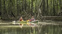 Mangrove Kayak Exploration Puerto Jimenez