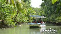 Mangrove Monkey Tour