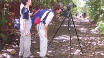 Manuel Antonio National Park Guided Nature Hike