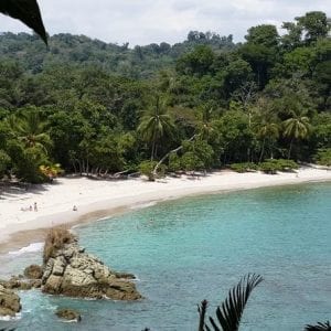 Manuel Antonio National Park Sightseeing and Wildlife Day San José