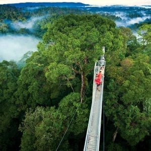 Monteverde Cloud Forest