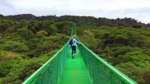 Monteverde Cloud Forest