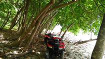 Mountain and Beach Half-Day Quad Samara