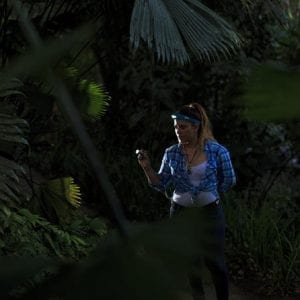 Night Hikes